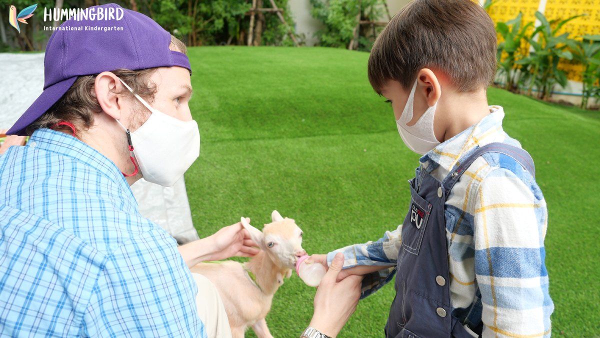 A man and a boy wearing face masks are feeding a baby goat.