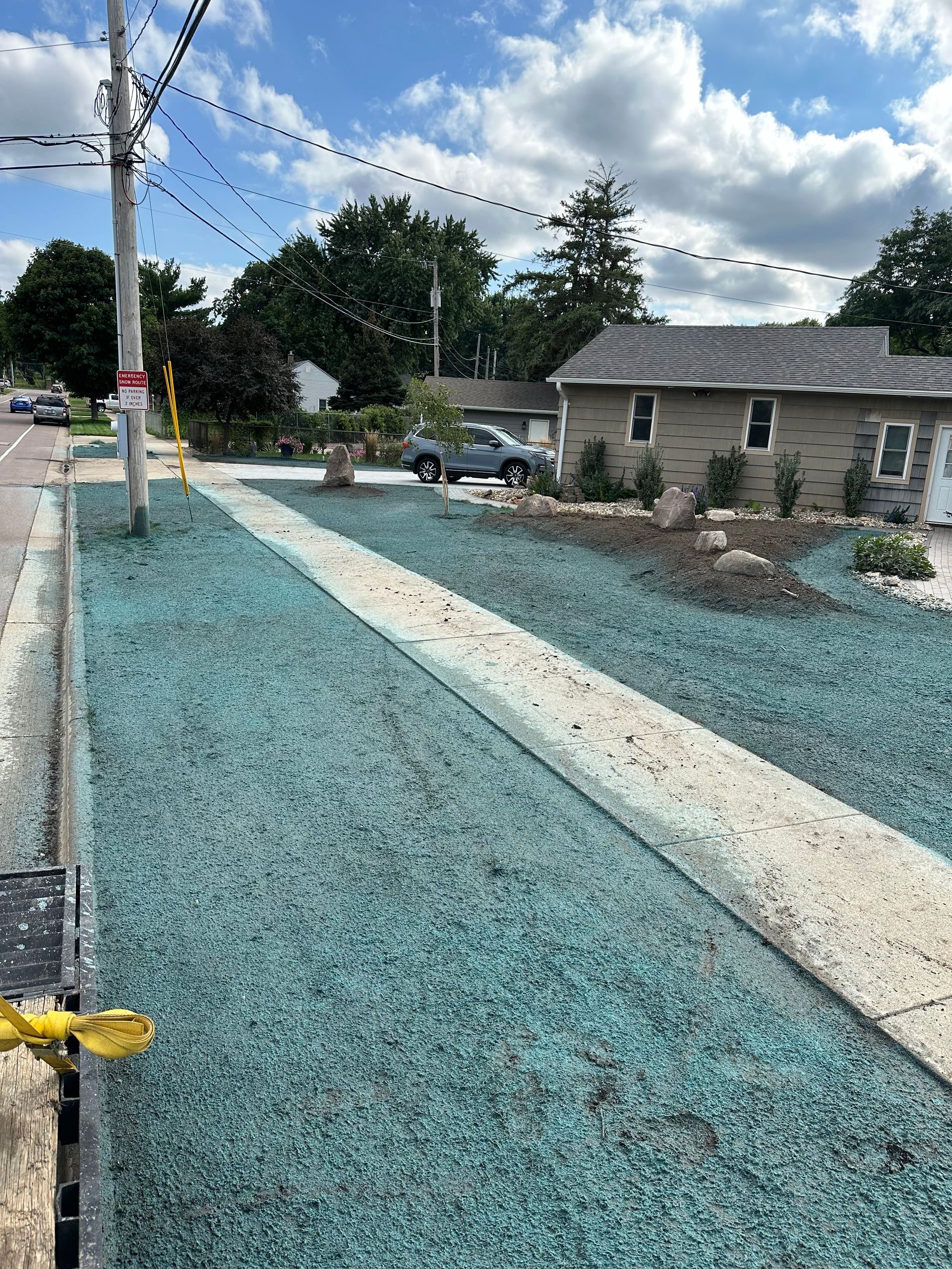 Sidewalk with bright blue seed covering on either side. Houses and trees in background.