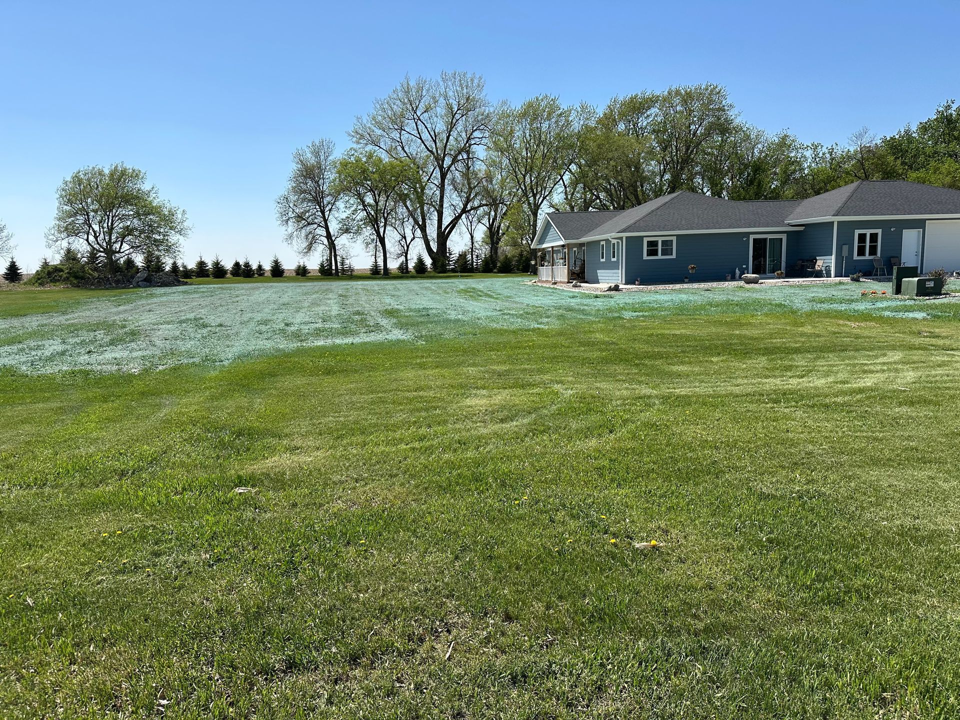 Blue house with green lawn, recently seeded area. Trees and blue sky.