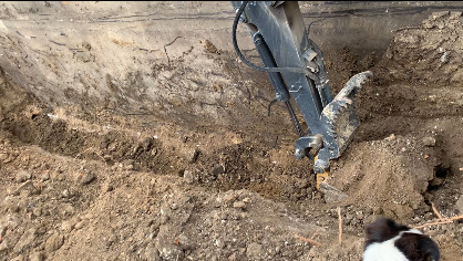 A black and white dog is standing in the dirt next to a bulldozer.