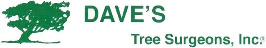 Dave's Tree Surgeons