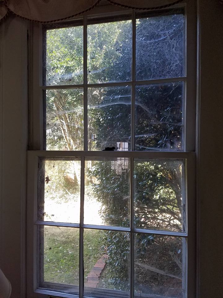 Expert Window Cleaner — Window With Dust In Mount Holly, NC