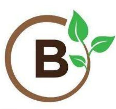 The letter b is in a brown circle with green leaves.