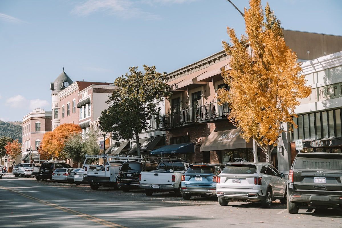 A green-roofed lodge sits on a tree-lined lakeshore behind a busy marina filled with docked motorboats.