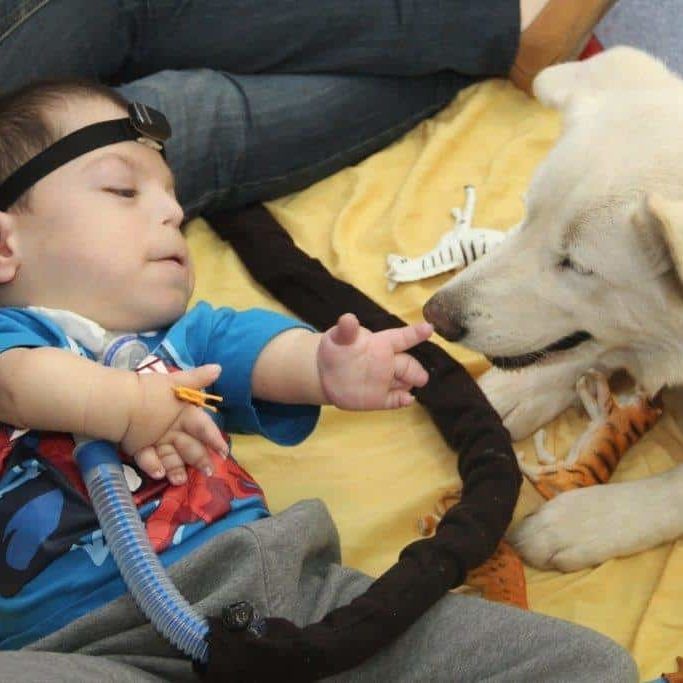 A baby is laying on a bed next to a dog