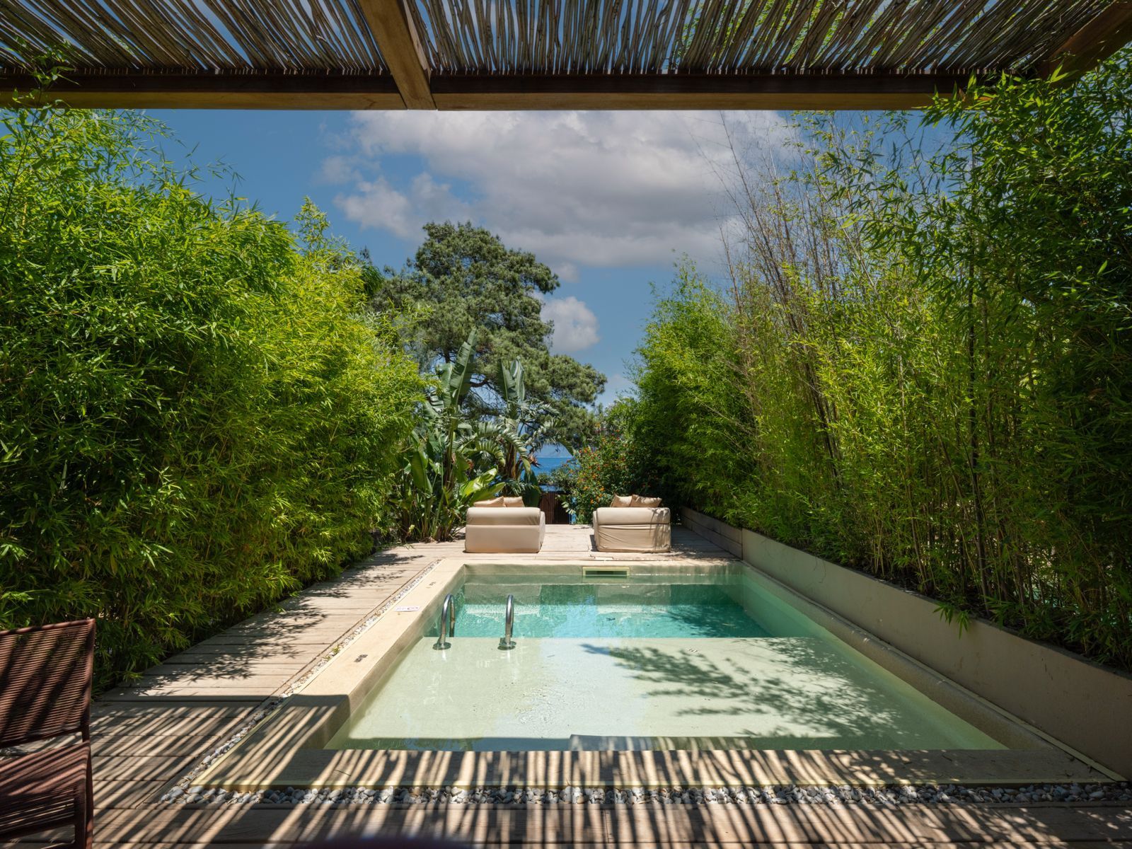 A small, rectangular outdoor pool surrounded by tall bamboo, under a slatted roof with a glimpse of blue sky and sea.