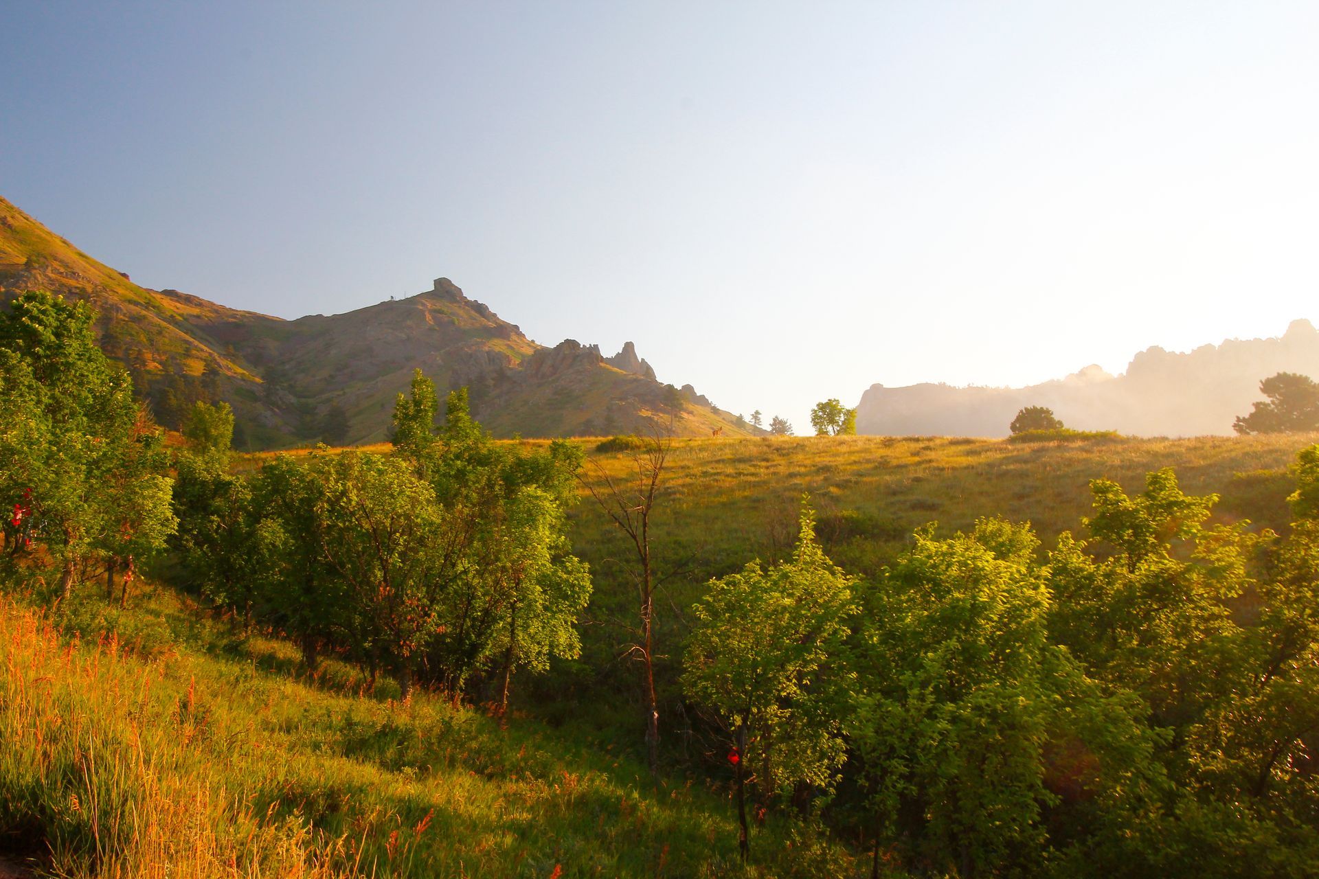 bear butte state park