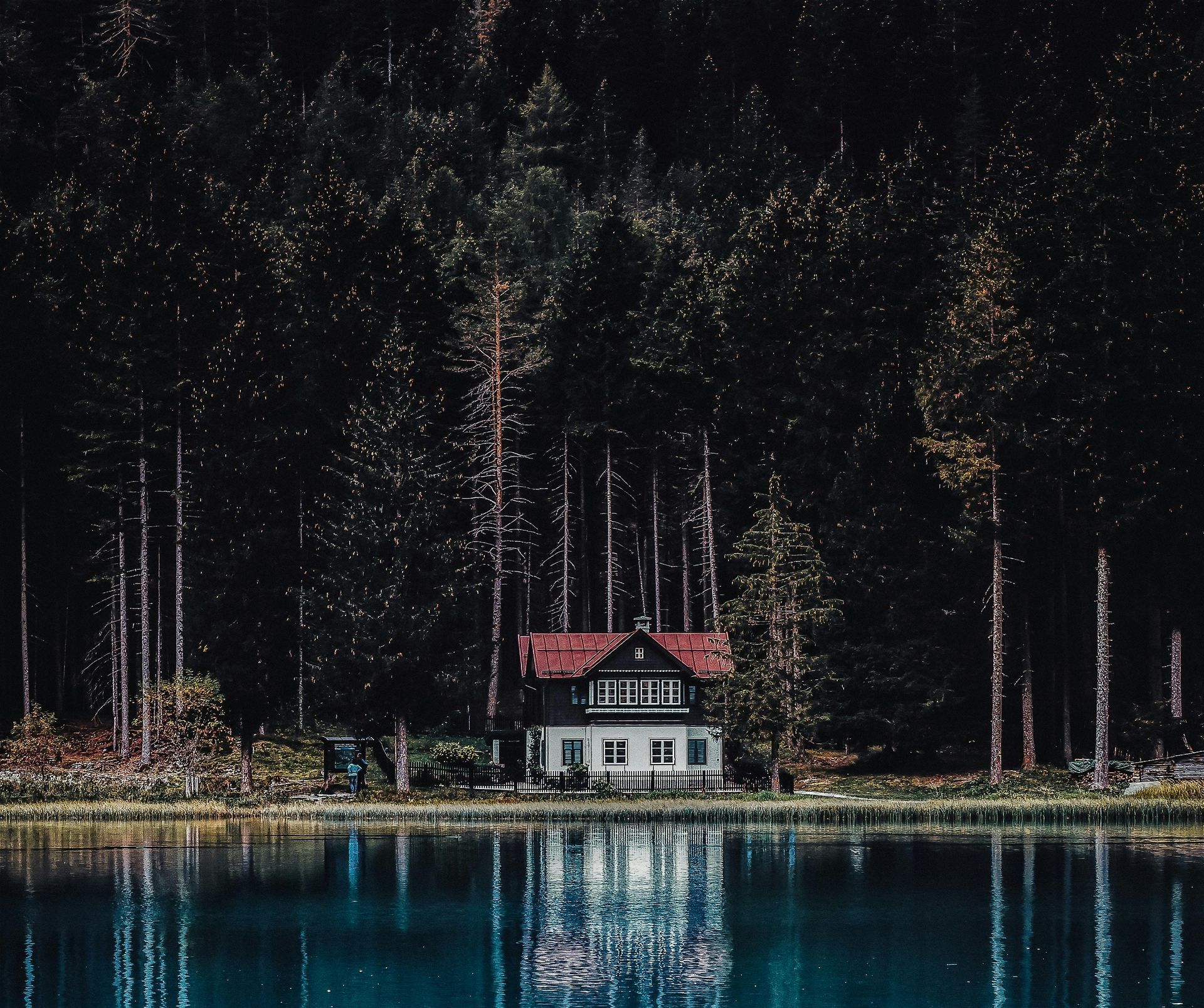 A house sits on the shore of a lake in the middle of a forest
