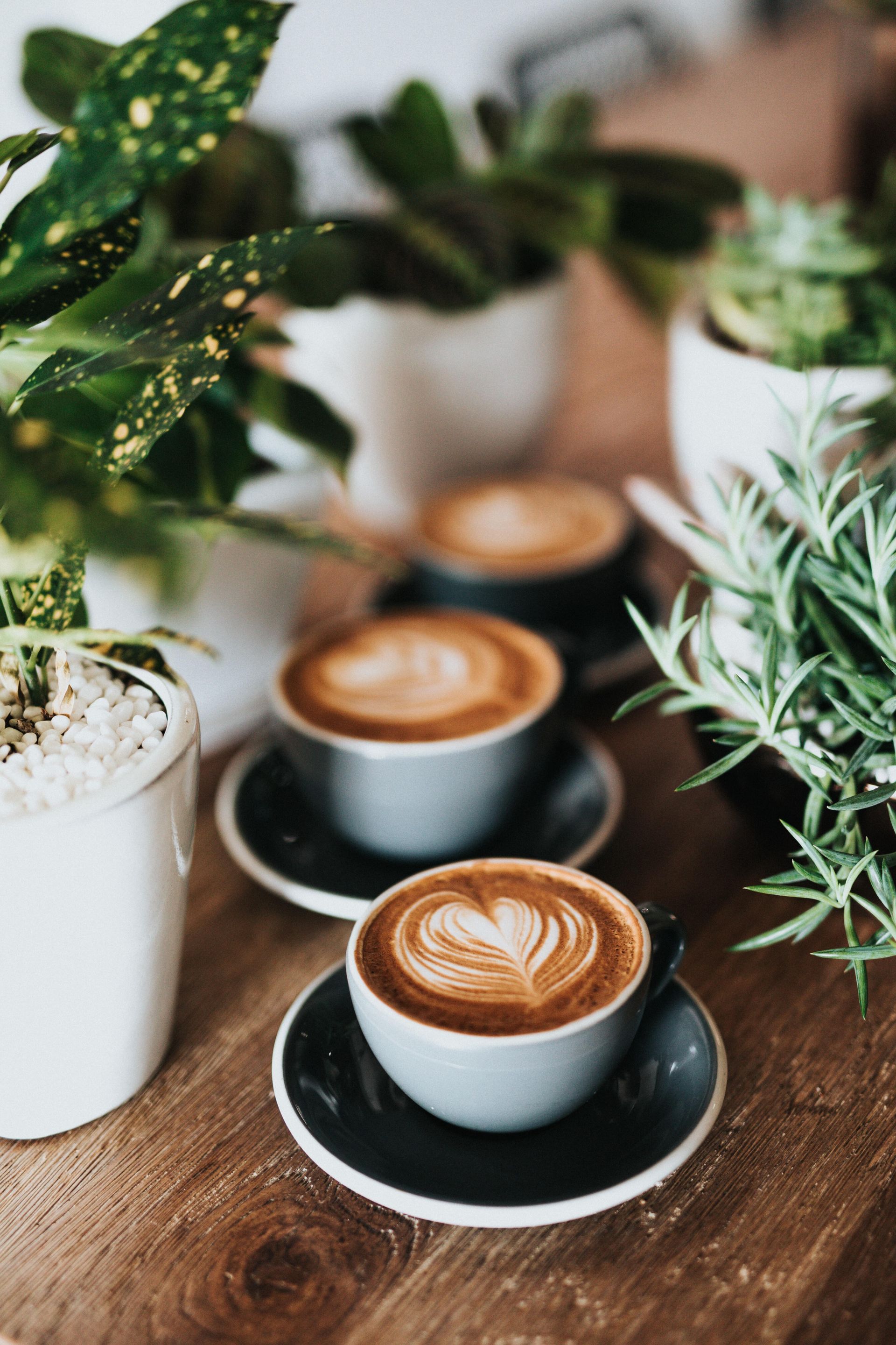 Grief is a heavy burden to carry alone. This is a relaxed, welcoming drop-in where you can talk abou