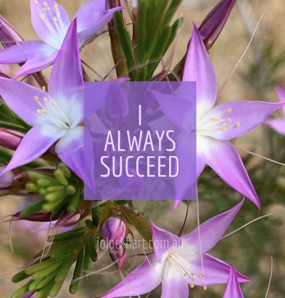 I always succeed