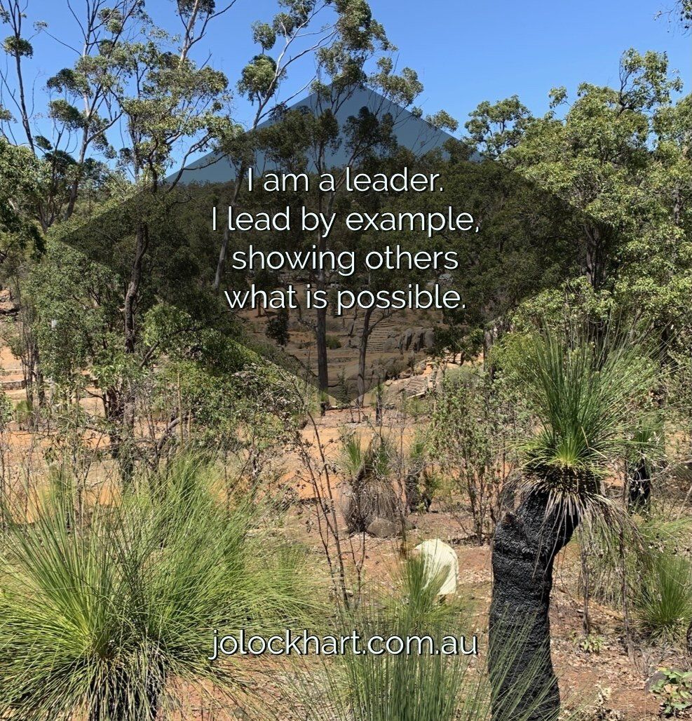 I am a leader. I lead by example, showing others what is possible.