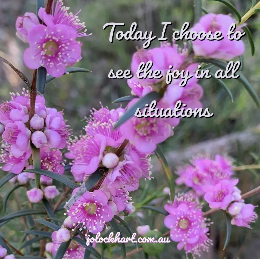 Today I choose to see the joy in all situations