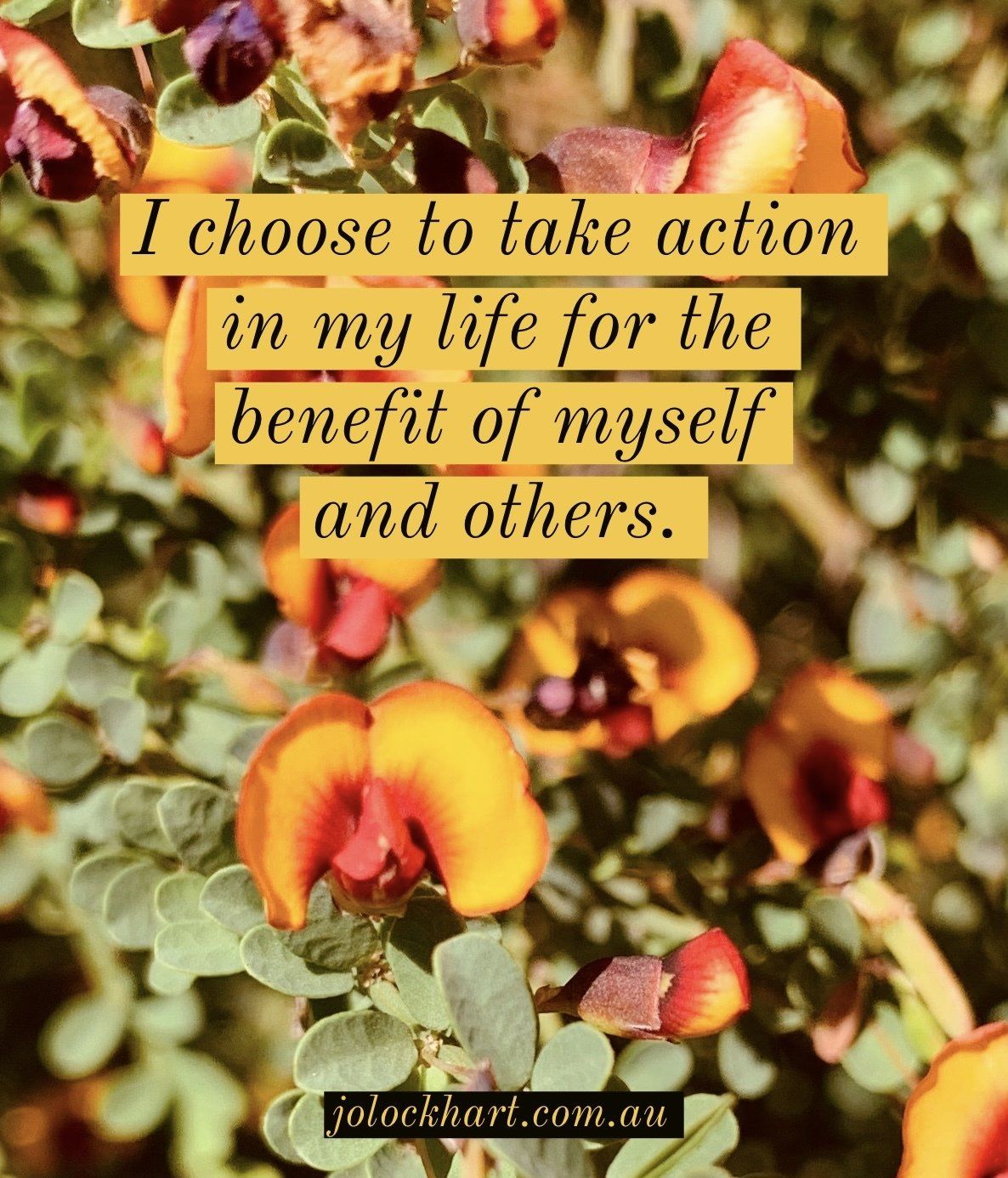 I choose to take action in my life for the benefit of myself and others.