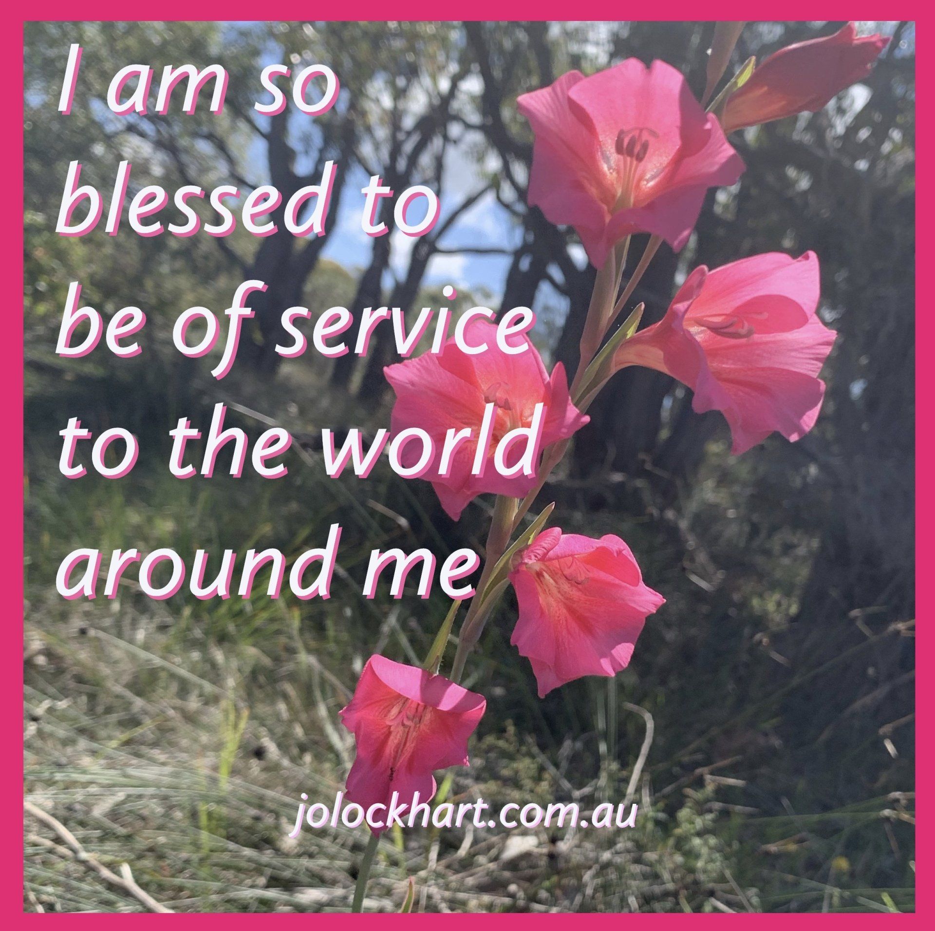 I am so blessed to be of service to the world around me.