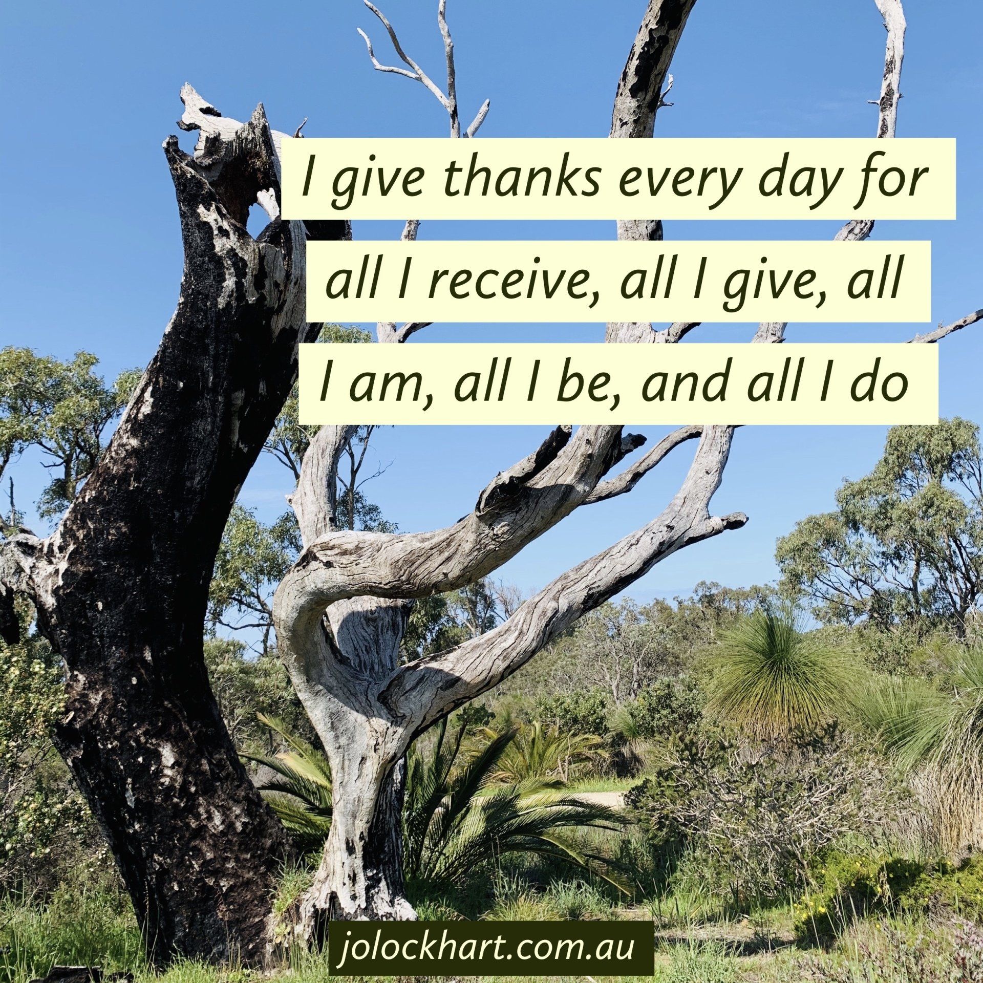 I give thanks every day for all I receive, all I give, all I am, all I be and all I do.