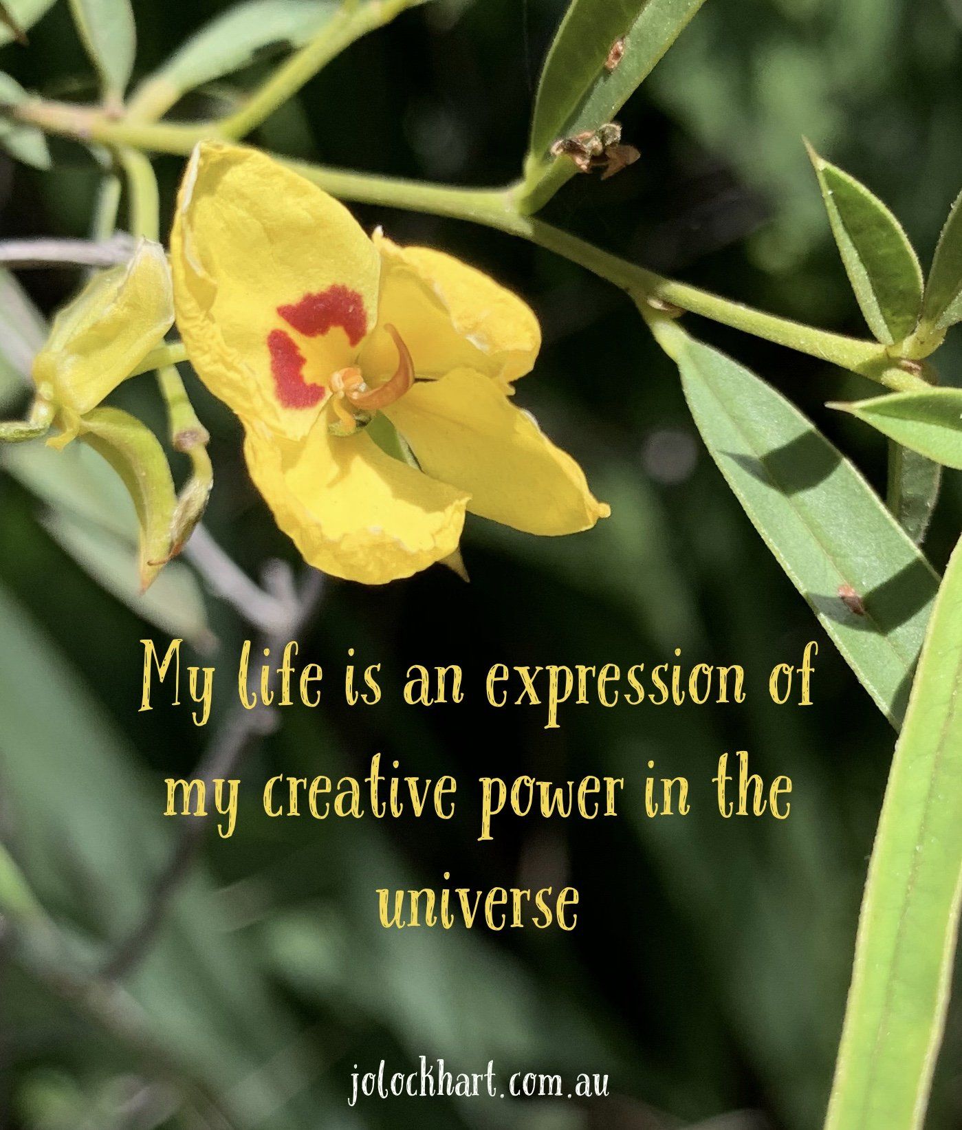 My life is an expression of my creative power in the universe.