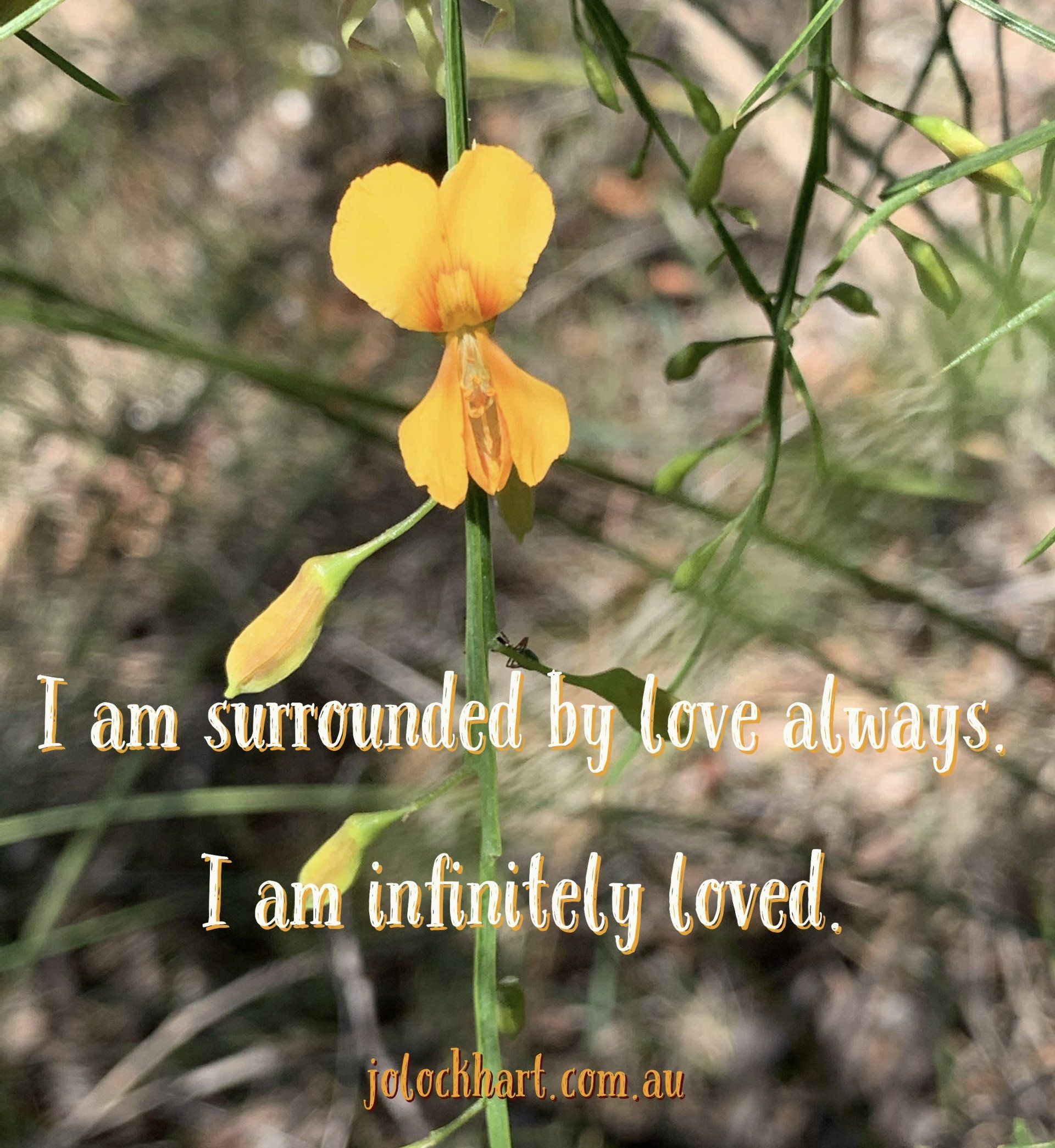 I am surrounded by love always. I am infinitely loved.