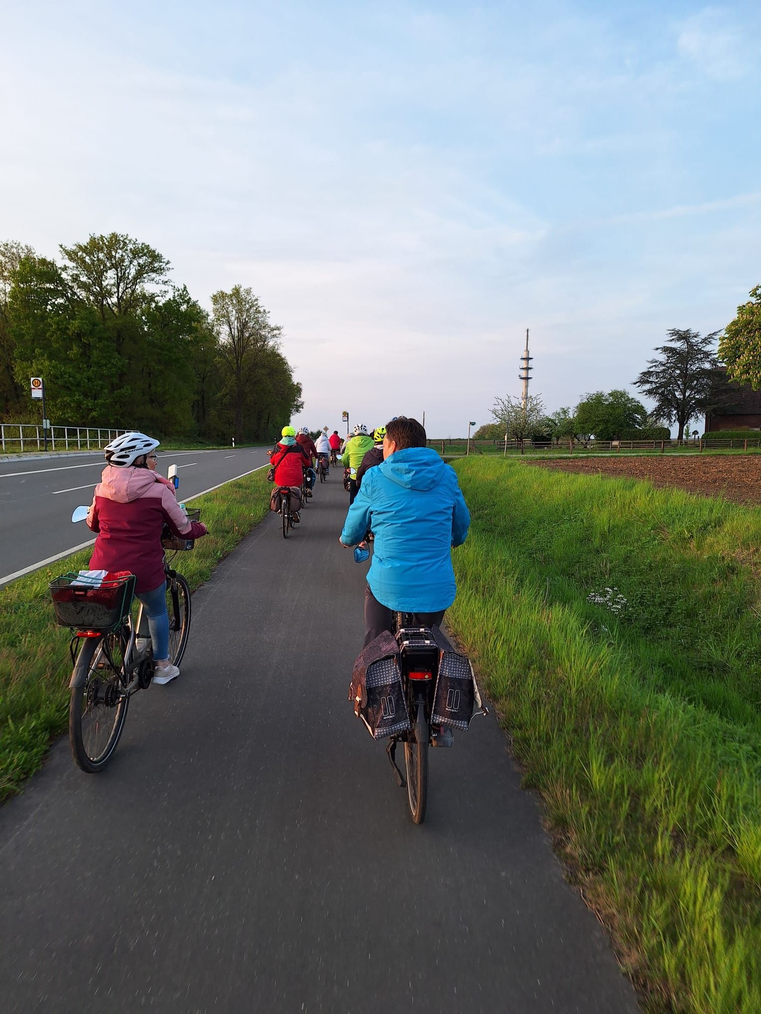 Eine Gruppe von Menschen fährt mit Fahrrädern einen Weg entlang.