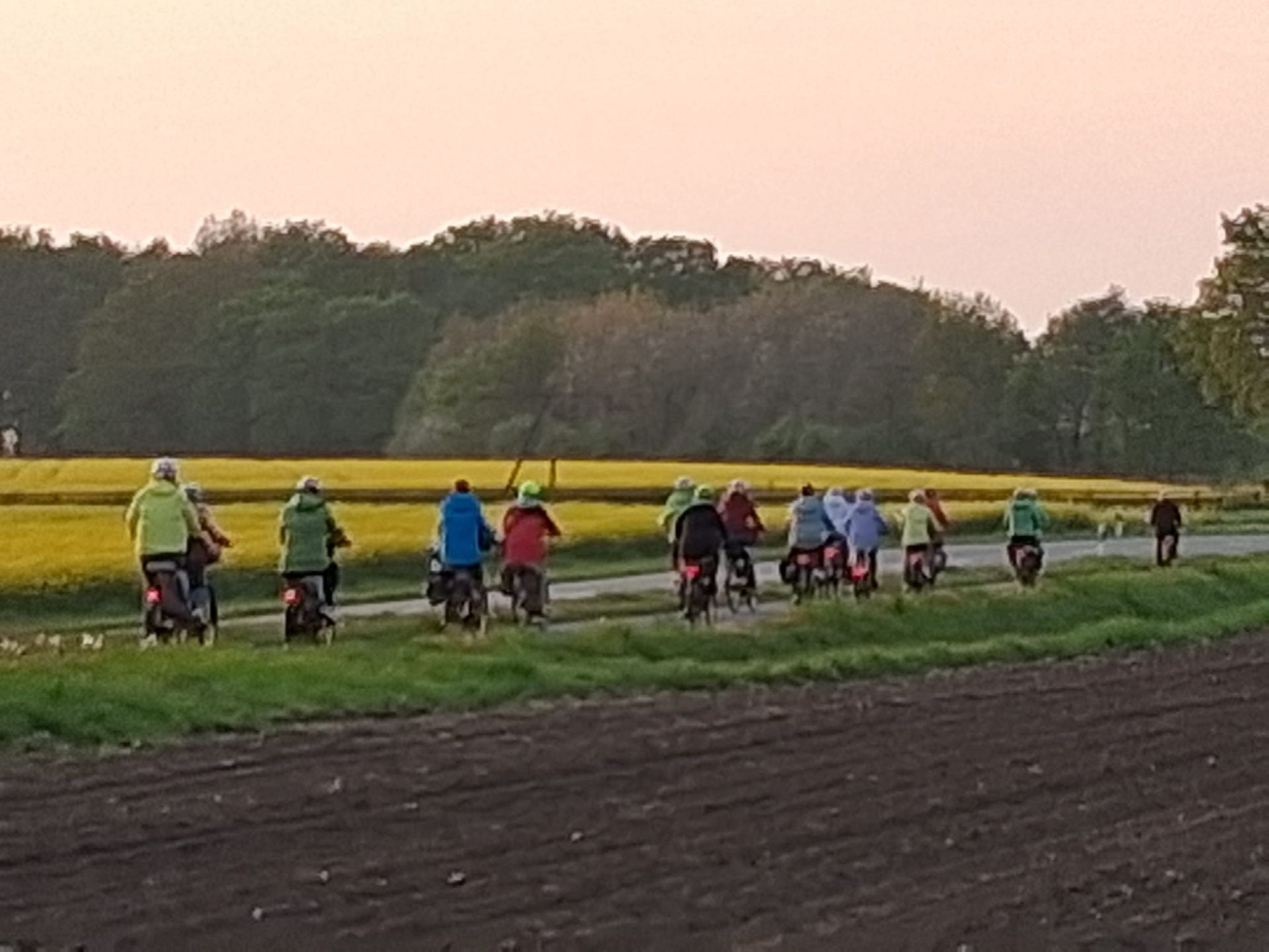 Eine Gruppe von Menschen fährt mit Fahrrädern einen Feldweg entlang.