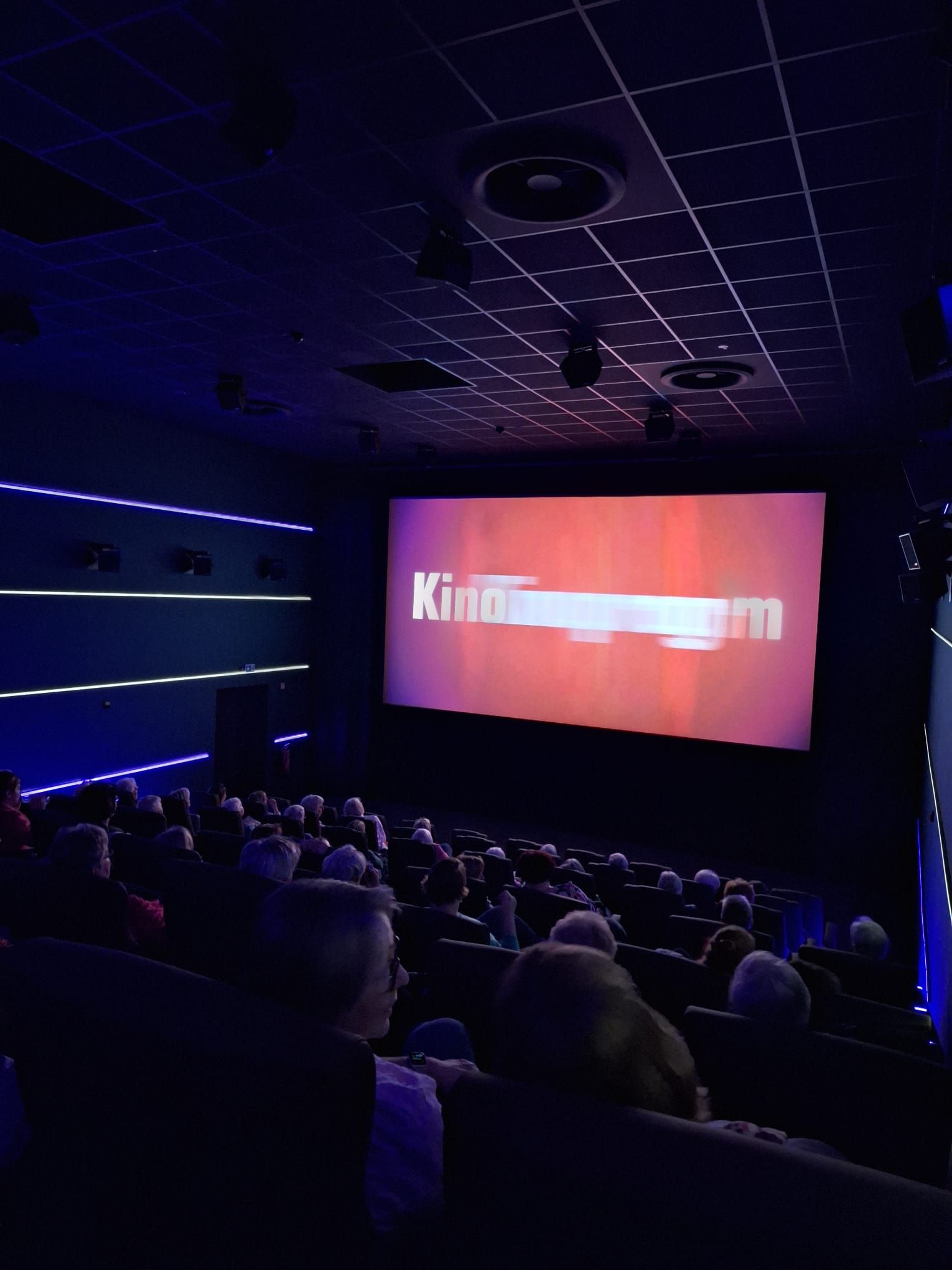 Eine Gruppe von Leuten sieht sich in einem Kino einen Film an.