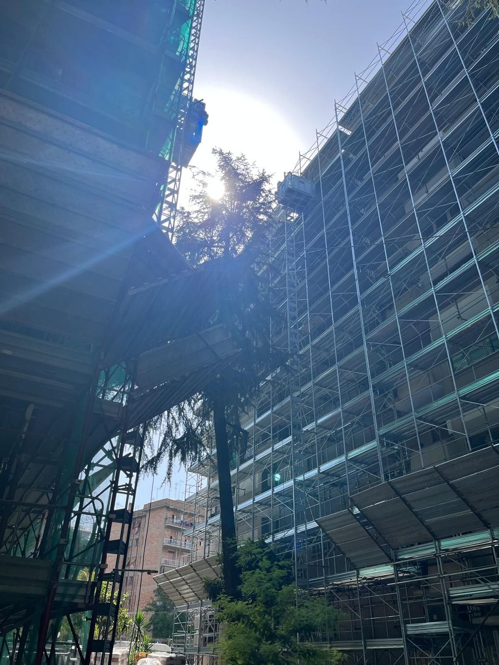 Veduta dal basso di edifici ricoperti da impalcature, con la luce del sole che filtra dietro un albero al centro.