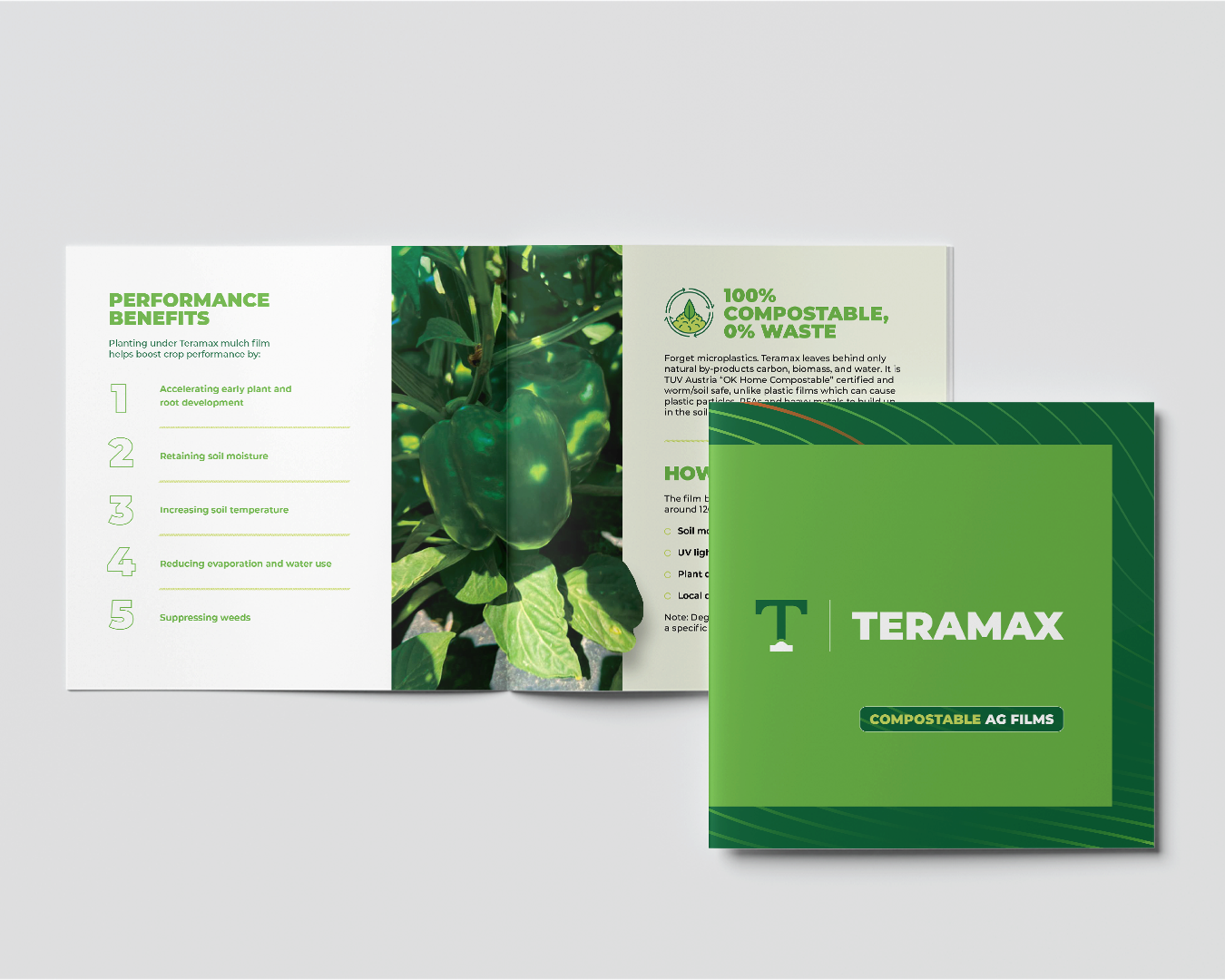 Brochure promoting Teramax fertilizer, opened to display product information, with green tones and a pepper plant photo.