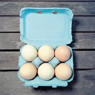 chicken eggs, duck eggs, goose eggs, quail eggs - Sherbourne - Foot's Eggs - Eggs