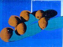 Cantaloupes