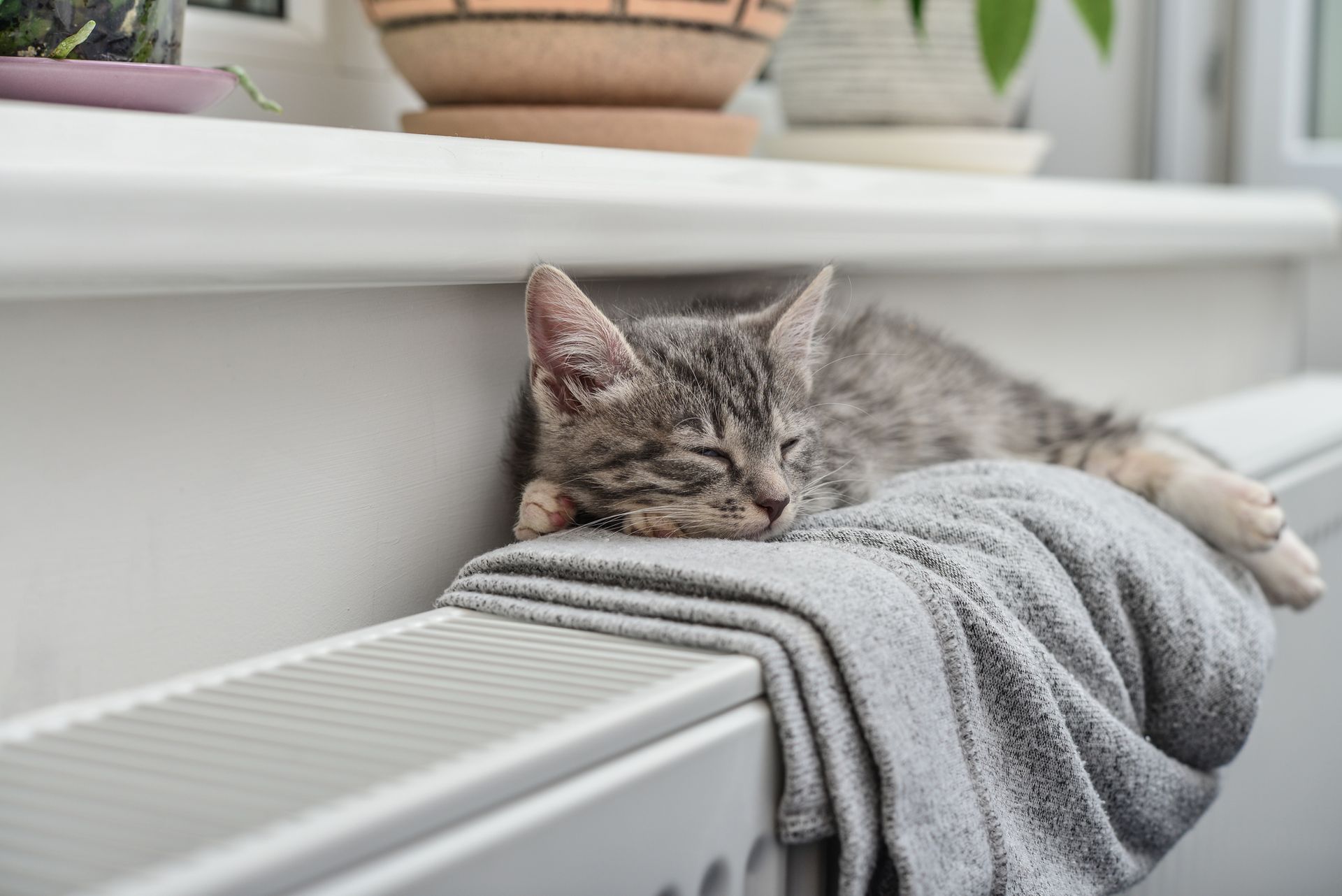 A cat is sleeping on a blanket on a radiator.