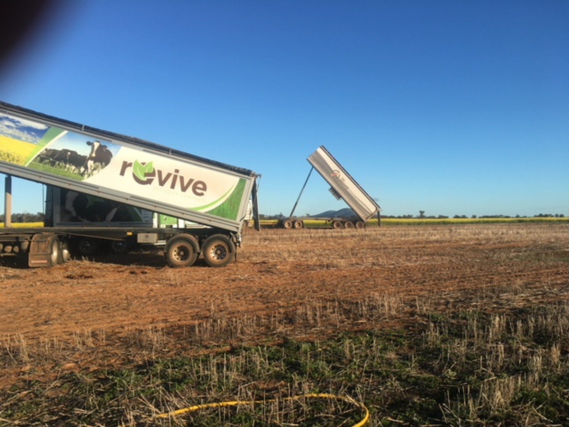 view of a fertile top soil for plant growth
