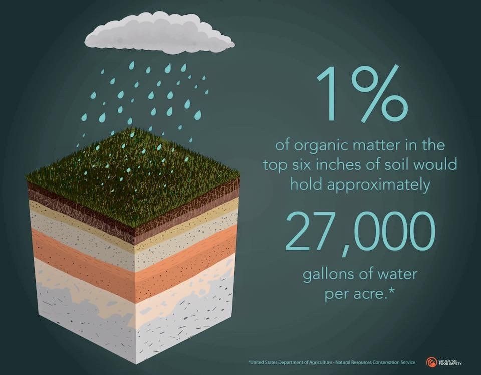 benefits of organic soil