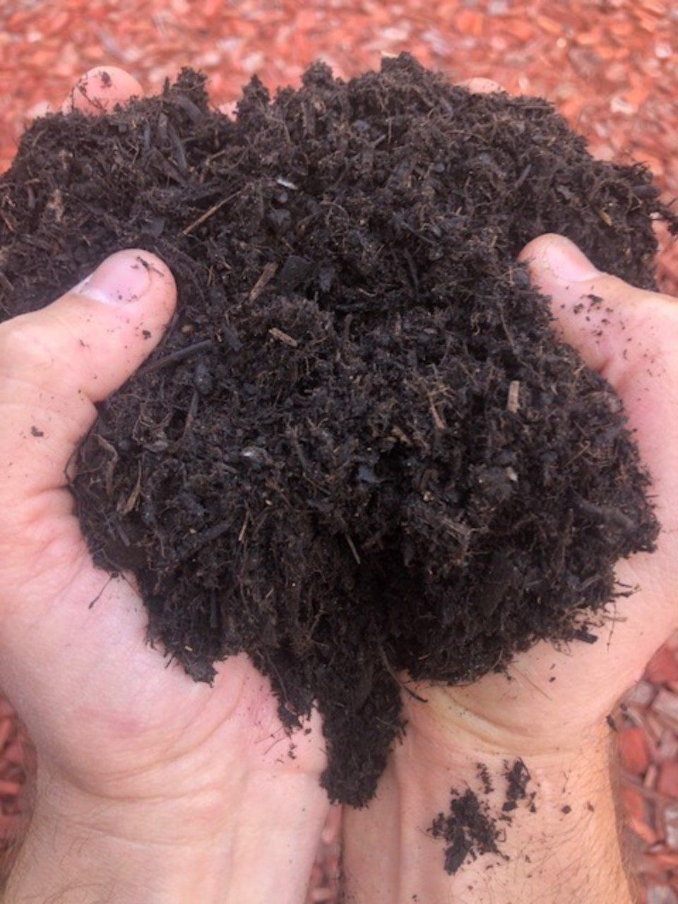man holding black color soil