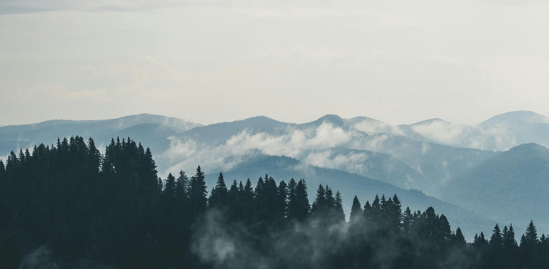 A silhouette of a forest with mountains in the background