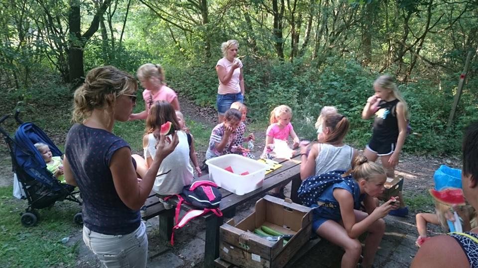 Klaverblad Wandeltocht | Avond4daagse