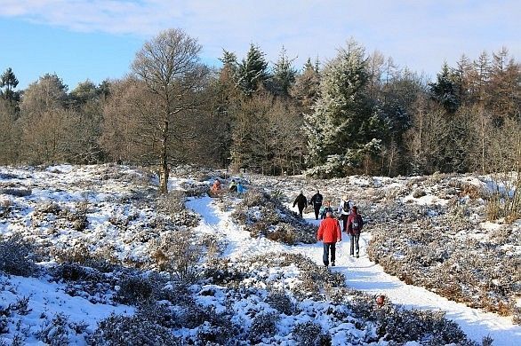 Kerstwandeling Klaverblad Wandeltocht