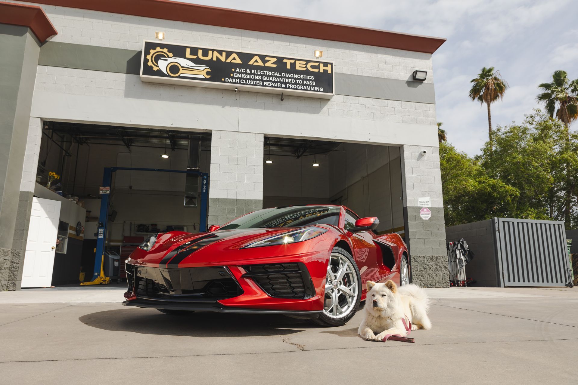 Luna AZ Tech LLC﻿ in ﻿Phoenix, AZ﻿