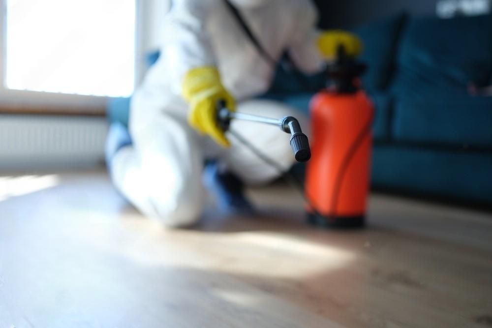 a person in a protective suit is spraying a wooden floor with a sprayer .