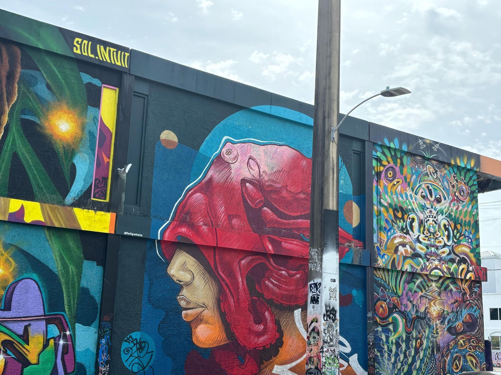 Wynwood Colorful Mural seen on the Miami 4 stop Bus Tours