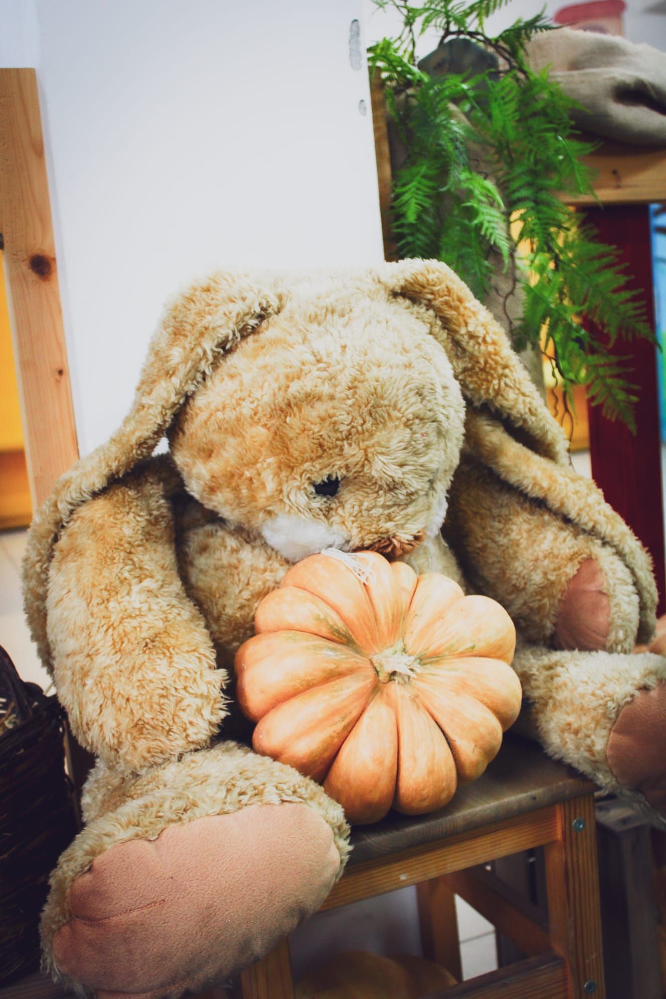 Un coniglietto di peluche è seduto su uno sgabello con una zucca in bocca.