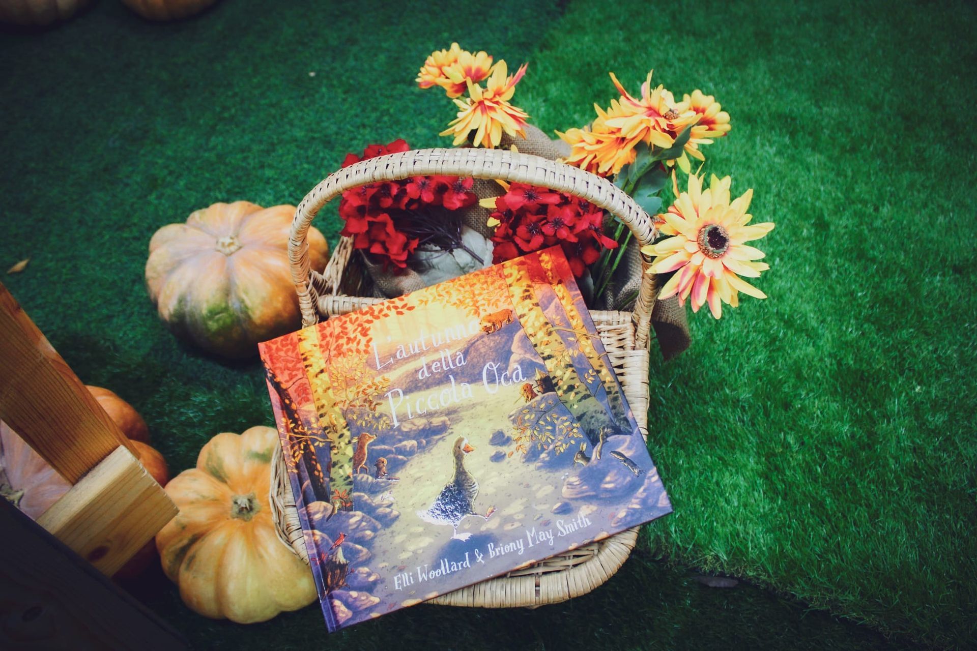 Un cesto con fiori e un libro dentro