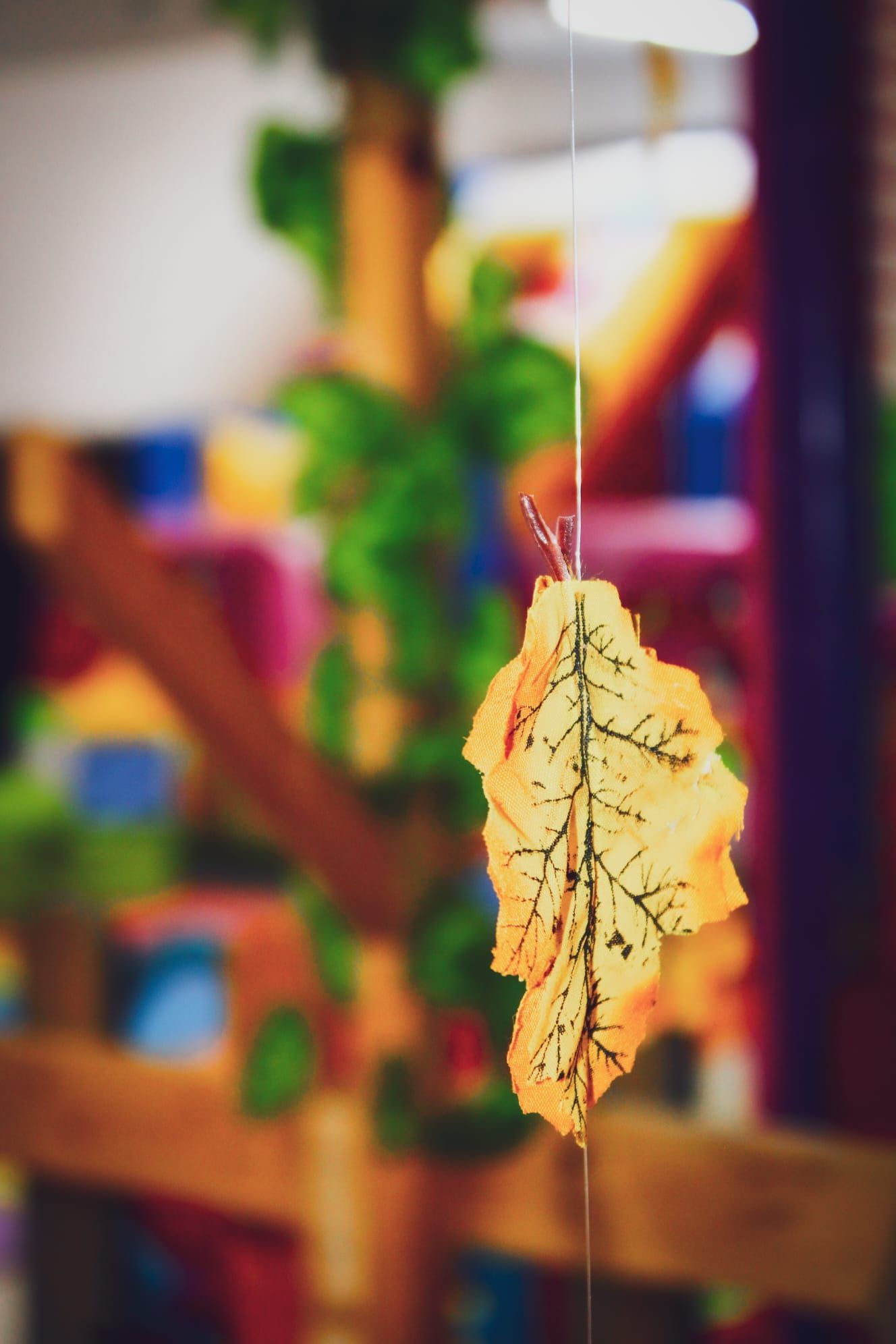 Una foglia è appesa a una corda in una stanza