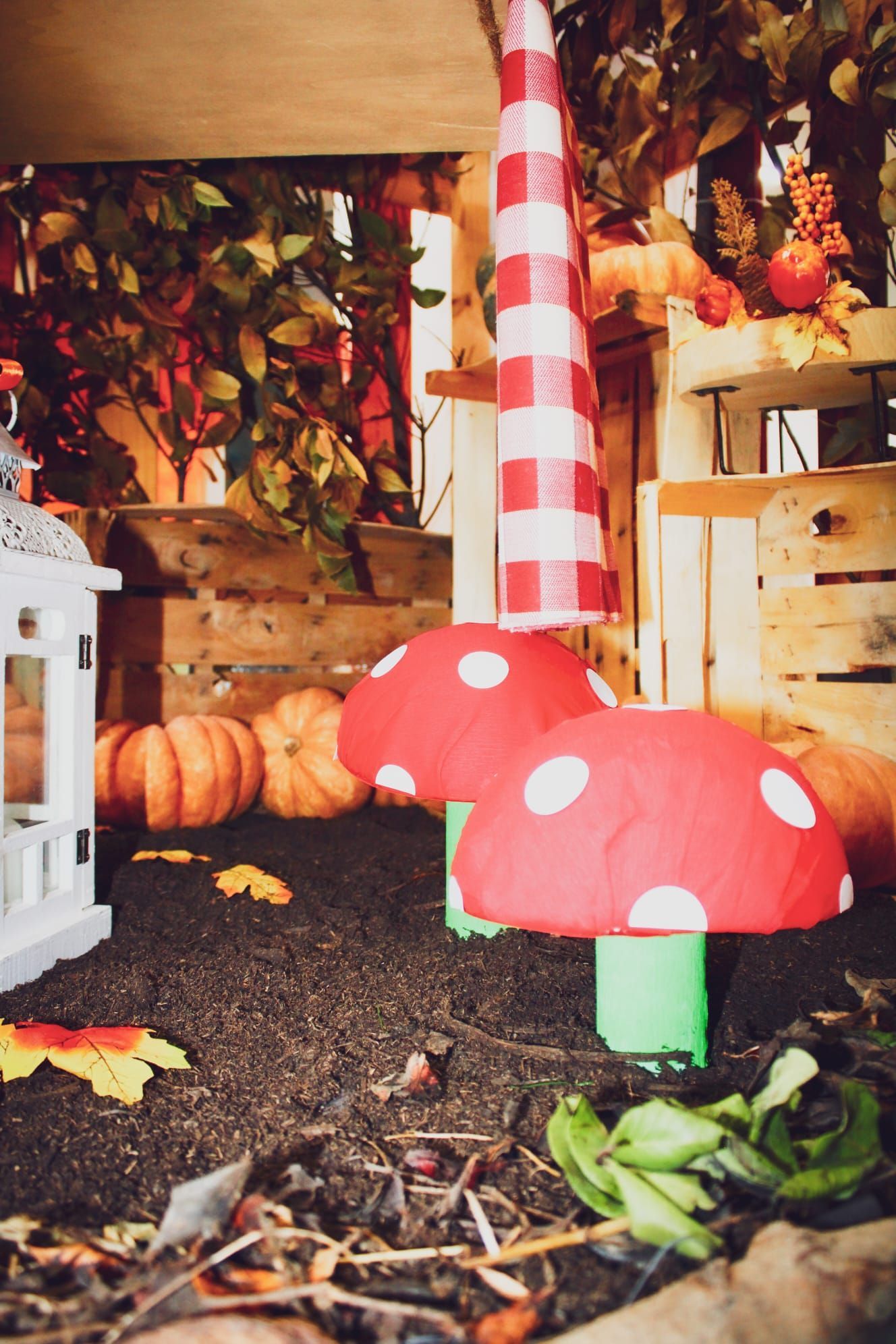 Un gruppo di funghi a pois rossi e bianchi sono seduti nella terra.