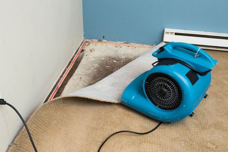 A blue fan is sitting on a dirty carpet in a room.