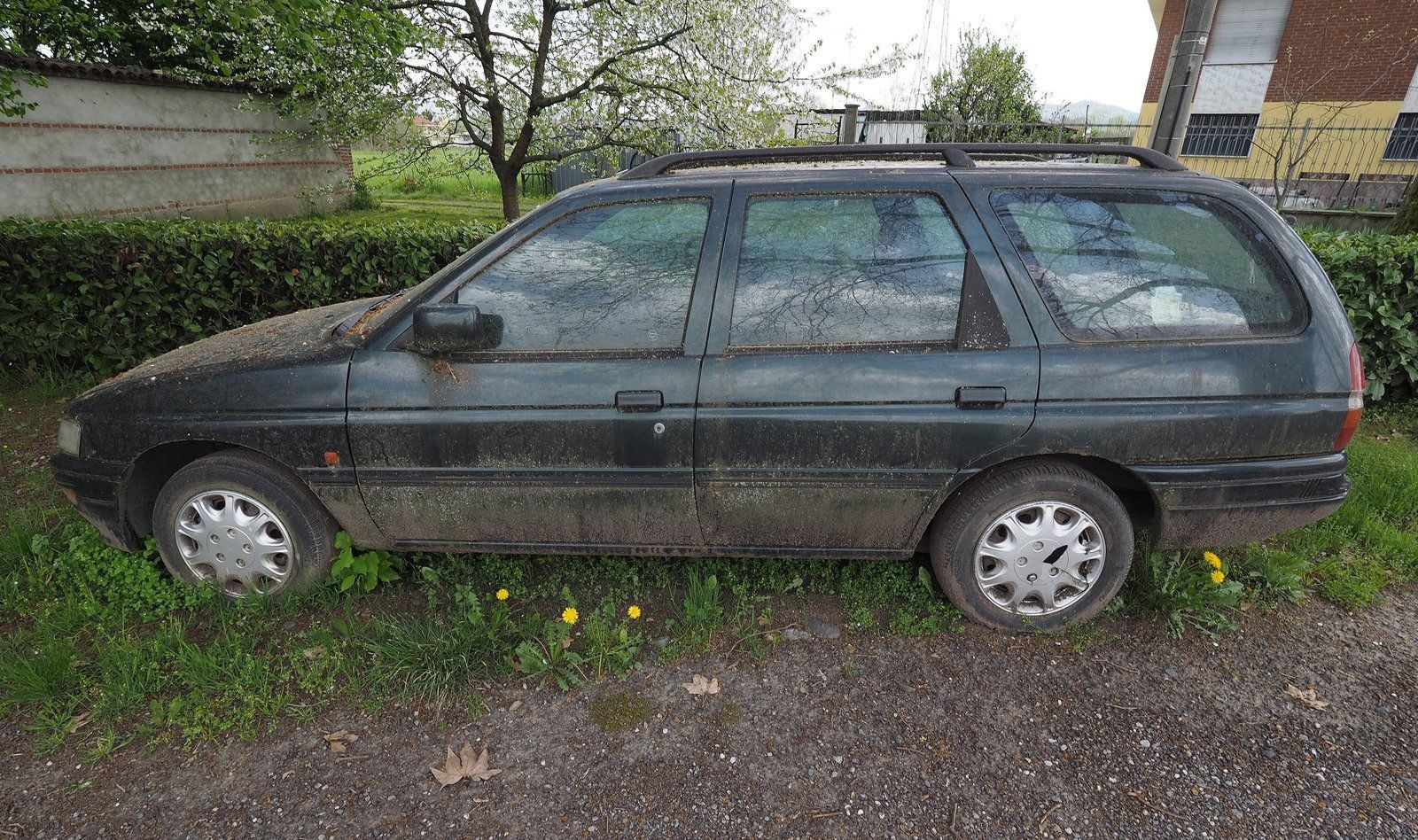 Dark green station wagon parked in overgrown grass.