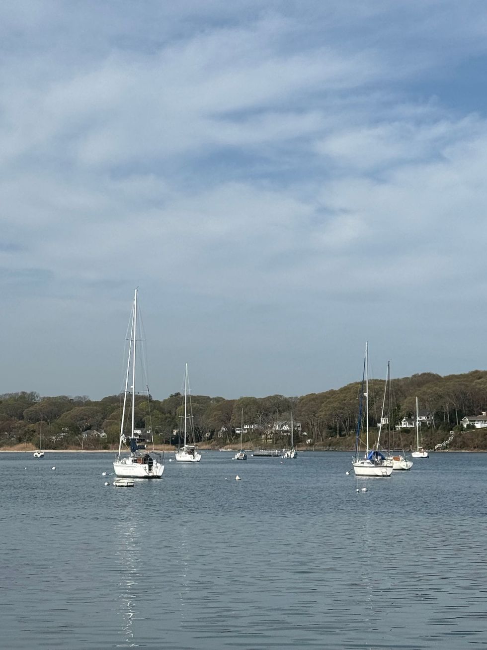 Sailboats anchored on calm blue water near a tree-lined shore under a cloudy sky