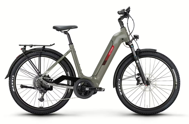 E-Bike -Tiefeinsteiger