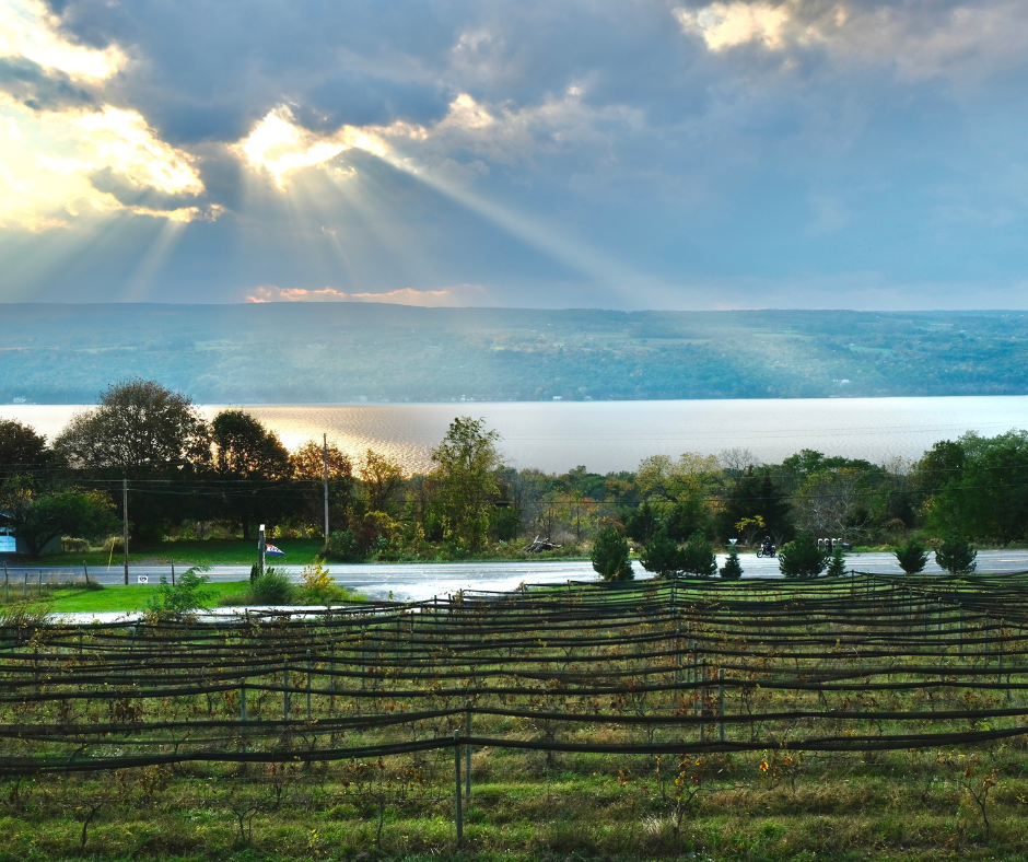 schedules-and-fares-need-a-ride