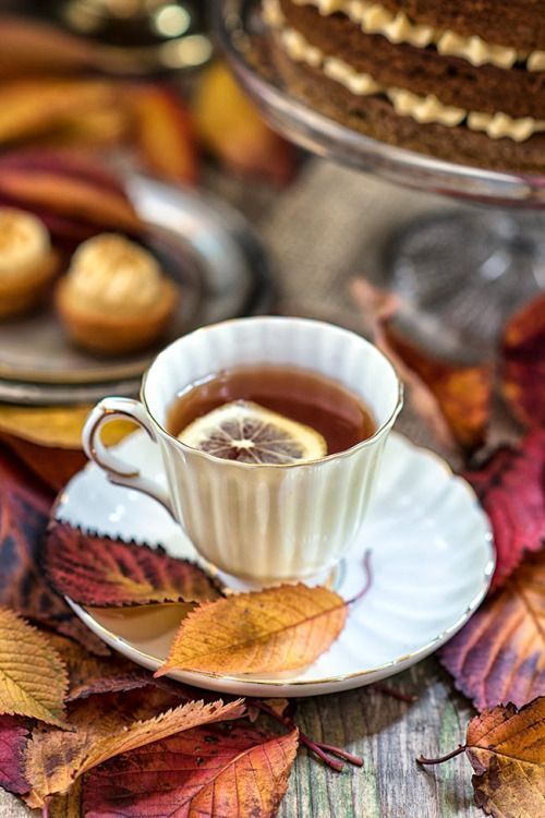 A cup of tea with a slice of lemon on a saucer next to leaves and a cake.