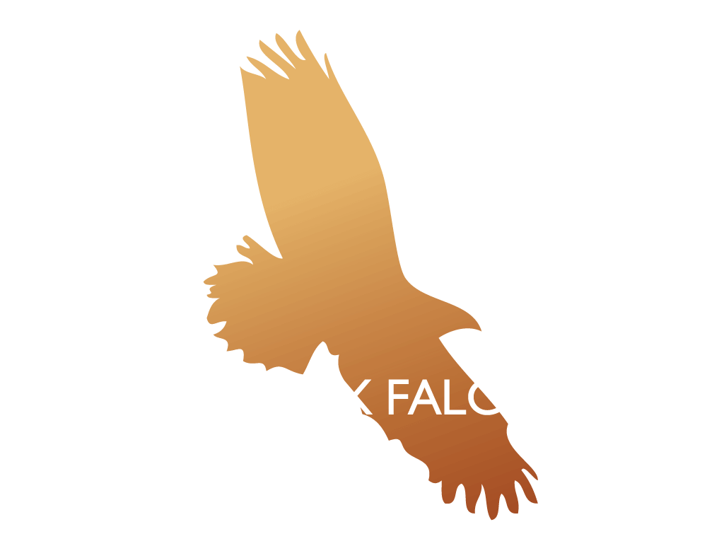 West Sussex Falconry