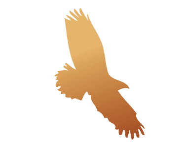 falcon icon
